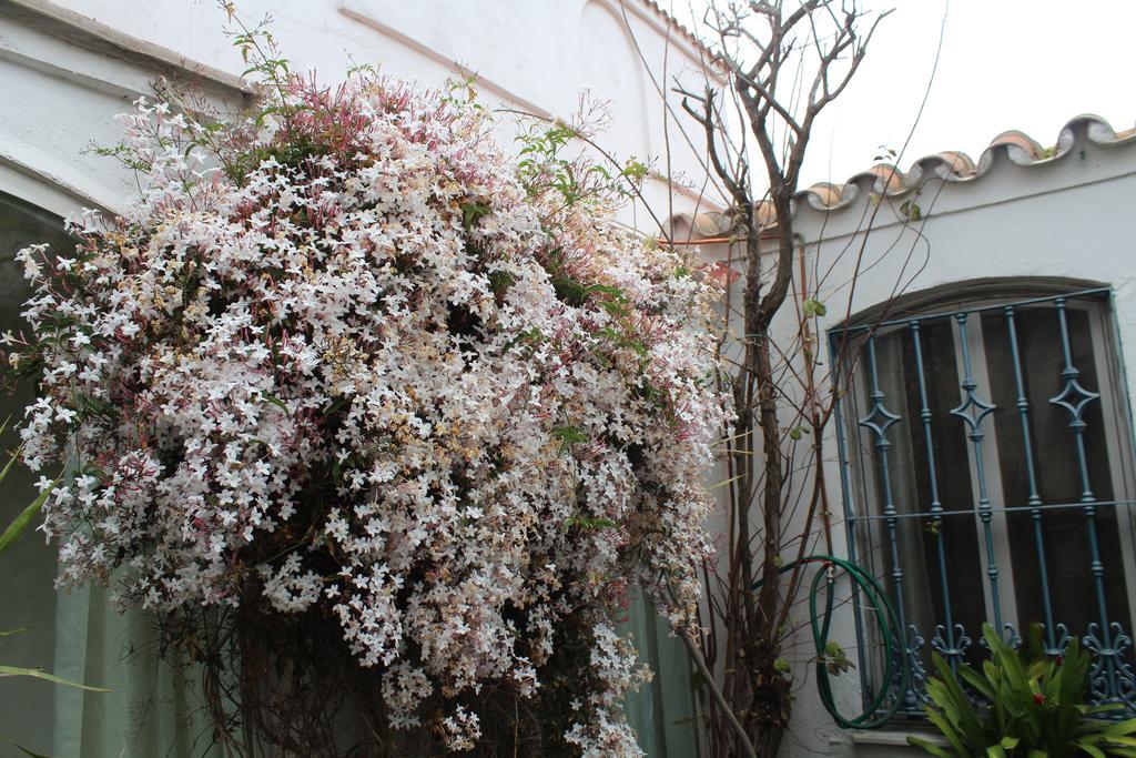 Casa Colonia Villa La Línea de la Concepción Exterior foto